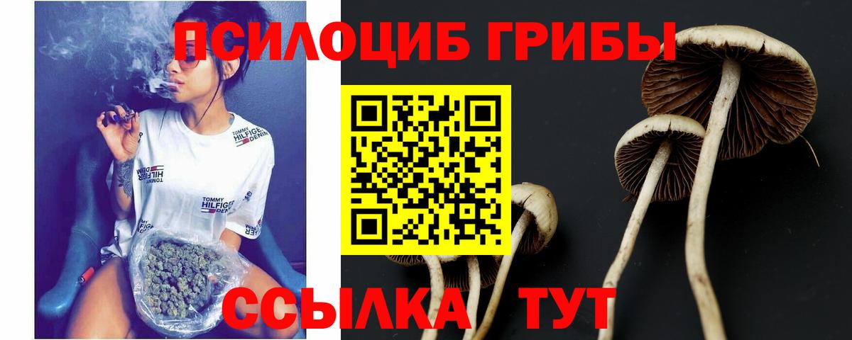 Галлюциногенные грибы Psilocybe  Вход с VPN  Воркута 