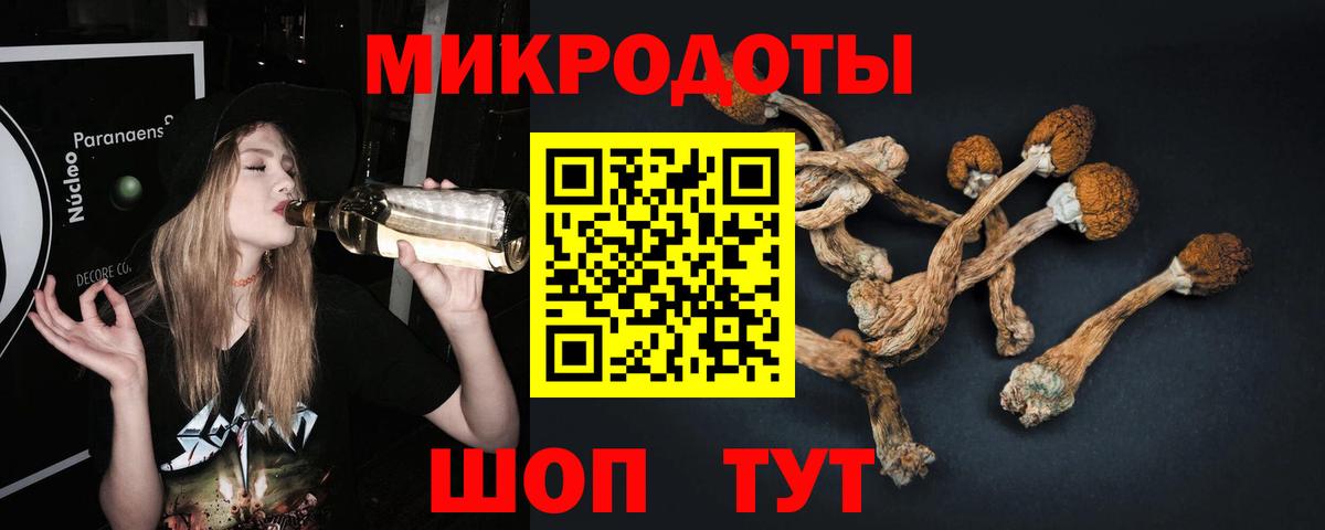Псилоцибиновые грибы GOLDEN TEACHER Воркута